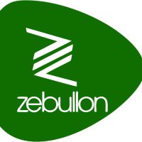 Zebullon Technology (@zebulloners2) 's Twitter Profile