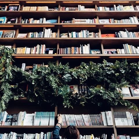 sh_shakaboor's profile picture. 