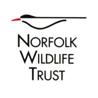 Norfolk Wildlife Trust (@norfolkwt) 's Twitter Profile Photo Norfolk Wildlife Trust (@norfolkwt) 's Twitter Profile Photo