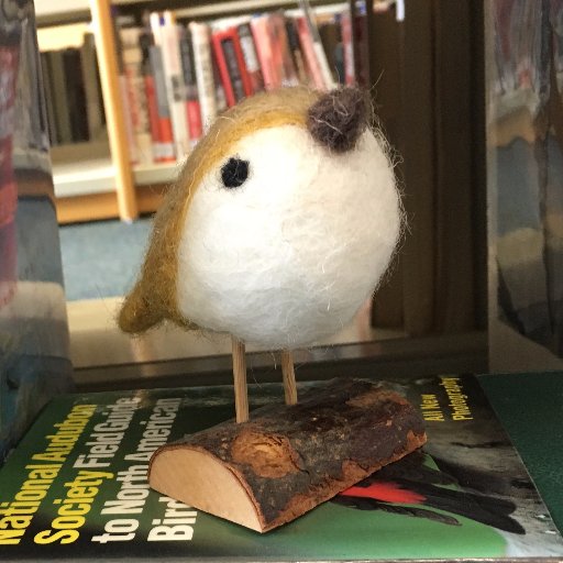 LibraryBuz's profile picture. Helping students in the EHS/CTE School Library