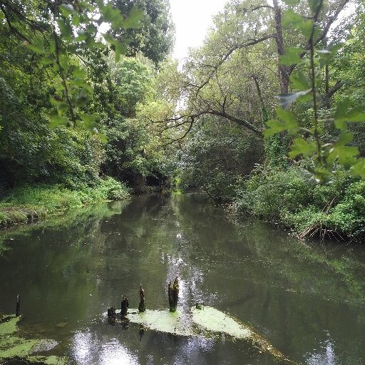 Siarce91's profile picture. Syndicat Intercommunal d'aménagement, de rivière et du cycle de l'eau