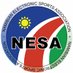 NESA (@esportsnamibia) Twitter profile photo NESA (@esportsnamibia) Twitter profile photo