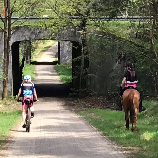 teeetje's profile picture. BIO - Ik doe niet meer zoveel met twitter... en is wel superhandig om met bedrijven in contact te komen. 😀