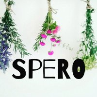 Spero (ｴｽﾍﾟﾛ)(@sperofruits) 's Twitter Profile Photo