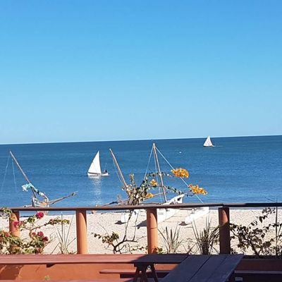 ZahidMamod's profile picture. Ceux qui vivent sont ceux qui luttent.