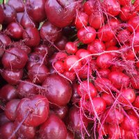 ollo fruit (@ollofruit) 's Twitter Profile