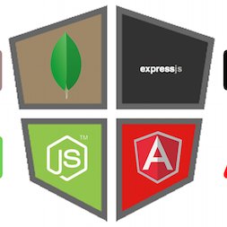 MEAN Stack Developer and Android developer.