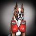 DFS BOXER (@dfs_boxer) Twitter profile photo DFS BOXER (@dfs_boxer) Twitter profile photo