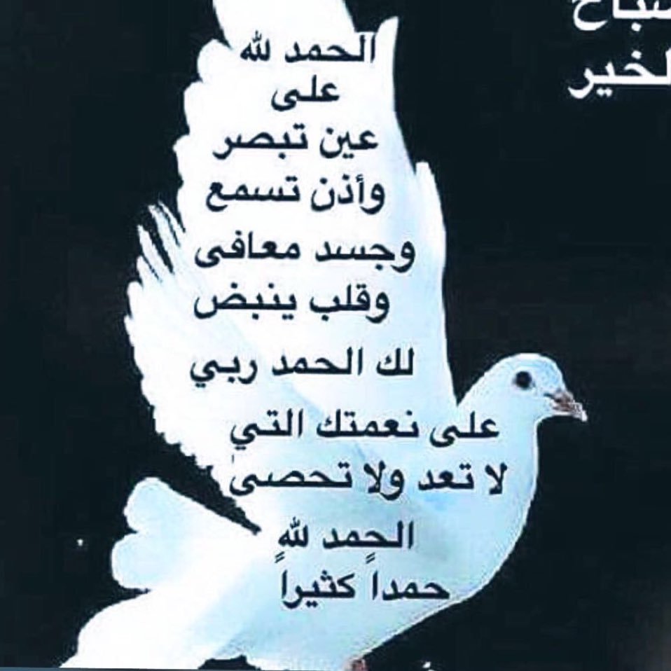 Altwaijriyah's profile picture. السلام و الحرية مطلب الشعوب الحية