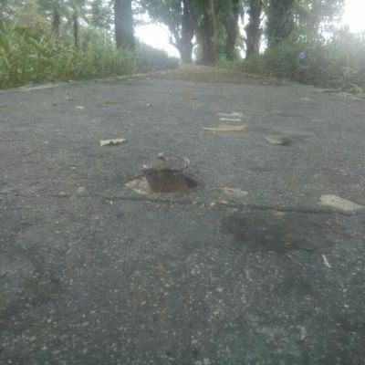 Raymundo_CB's profile picture. 