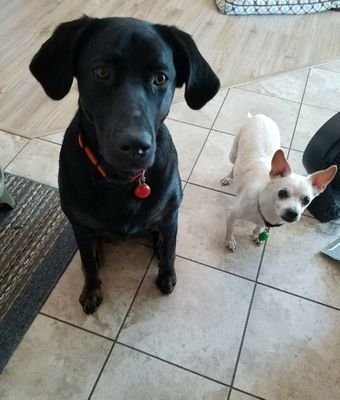 BryanSCHROEDE12's profile picture. Carpe Diem , before it goes to Shit.