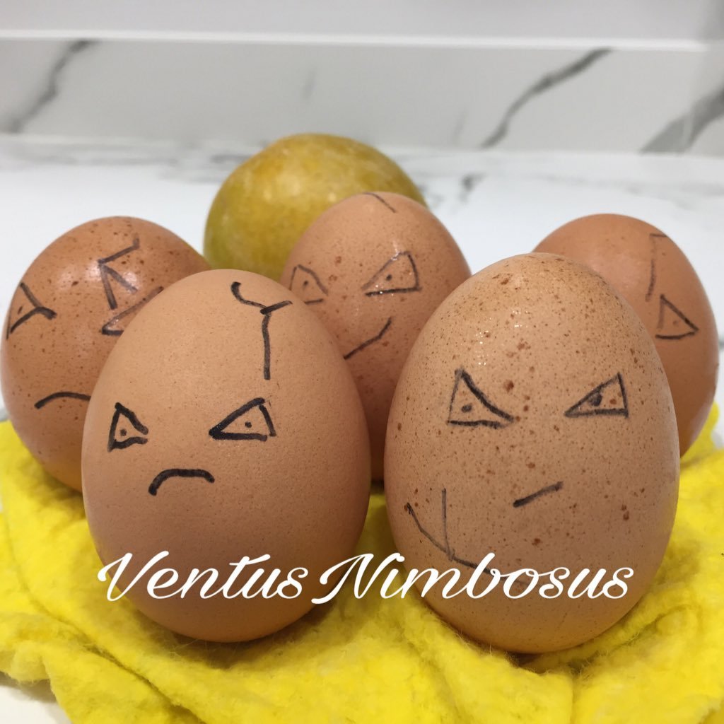 VentusNimbosus's profile picture. Entrenador nivel 40, los shiny me rehuyen 😬