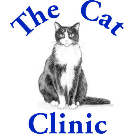 the_cat_clinic's profile picture. The only cat dedicated clinic in Brisbane, with three locations. 
Mount Gravatt - (07) 3349 0811
Paddington - (07) 3367 0011
Clayfield - (07)3357 9902