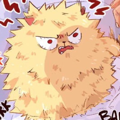RP Account|| owned by @shototodo || My Bakugo Account (non-cat) @datboibakugo || open RP || incredibly fluffy!! and kinda an ass *scratch scratch* ||