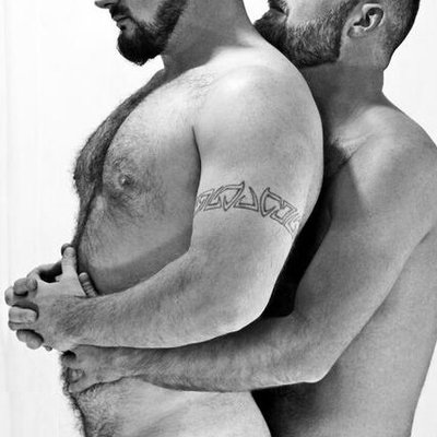 Gay bear quotes