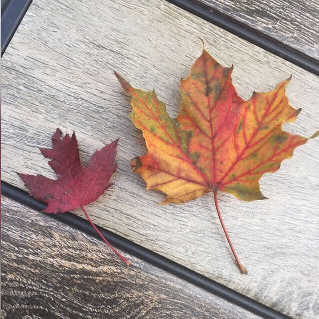 tarek_nabulsi's profile picture. 