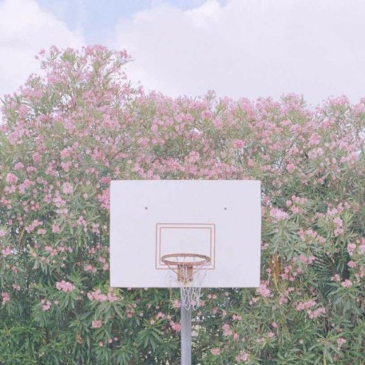 panwink_00's profile picture. 판윙 읽다가 좋았던 부분을 발췌해서 올리는 계정🐥️ 
🚨이를 통해 의도치 않은 스포를 당할 수 있습니다

언급이 불편하면 DM 주세요