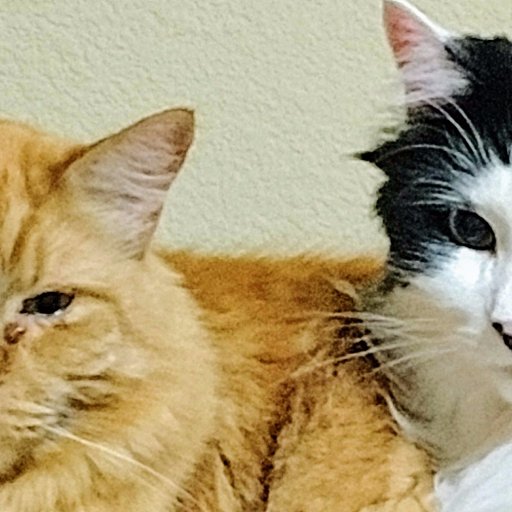 thenapashadow's profile picture. 