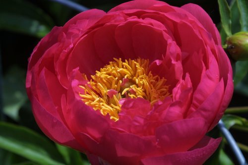 A blogging baby boomer who enjoys empowering others with ways to build retirement income.I am using Ebay and other sites.