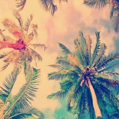 s_0055s's profile picture. ‏، ‏، ‏، ‏↓˓❁⸀ء ㅤ  ㅤ  ㅤ  ㅤ ㅤ  ㅤ  ㅤ  ㅤ ِ ‏ ‏ربي إني لا أنوي لغيري إلا خيراً فمن أراد بي سوءً فأشغله بطاعتك و أكفني شرّه💜🕊 ‏،