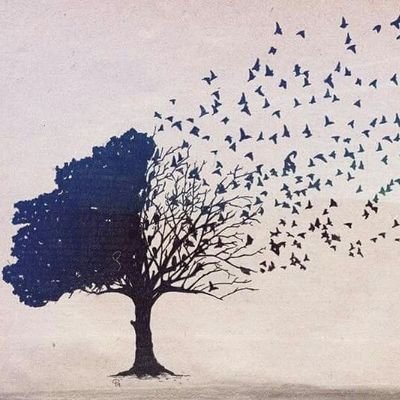 Somil247's profile picture. 