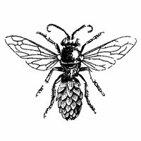 Manchester Homebrew (@mancshomebrew) 's Twitter Profile