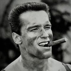CryptominatorNL's profile picture. 