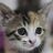 nak721's profile image