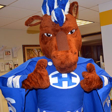 Horseheads Schools Profile