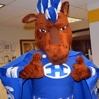 Horseheads Schools(@HhdsSchools) 's Twitter Profile Photo