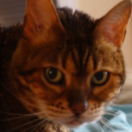 Giusi2103's profile picture. 