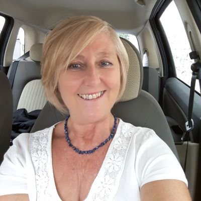 Freelance ESL Teacher and Teacher Trainer, ELT materials consultant and writer.
Now Co-Owner of the Smart School of Modern English, Sirolo, Ancona.