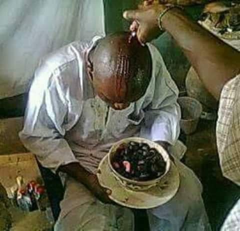 Awogbamila3's profile picture. 