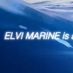 ELVI MARINE LTD is an official agent of ERMA FIRST Ballast Water Treatment Systems in Ukraine. We are a highly qualified and dedicated partner to our customers