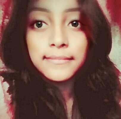 Holk