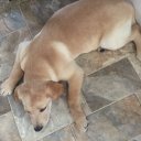 Ivy Wade - @IvyWade15 - Twitter