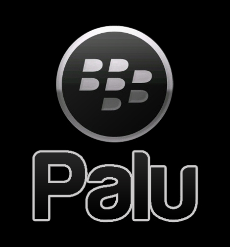 bbPalu Profile Picture