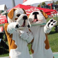 Tarzán & Juana (@uprmmascots) 's Twitter Profile Photo