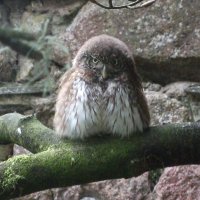 Biology at Man Met (@manmetbiology) 's Twitter Profile