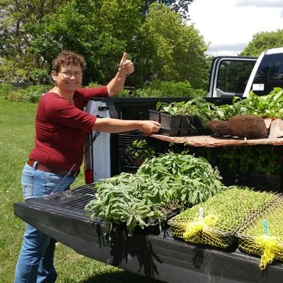 Ph.D. @uofg with @NigelERaine : squash bees : #peponapisproject : gardener : agriculture : poetry