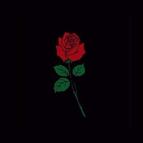 florvibes_'s profile picture. follow nous 🌹