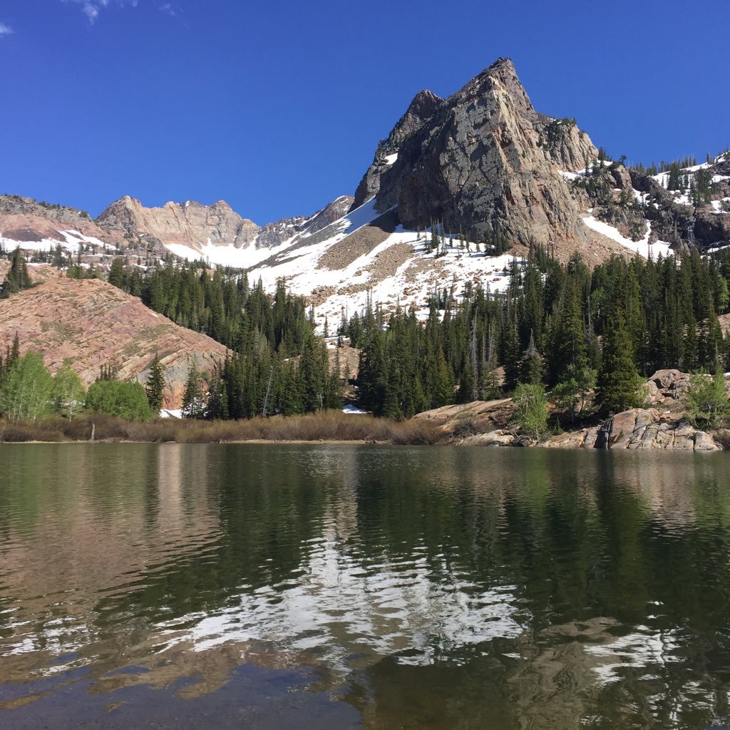 Purdue Boilermaker, endurance nut, Ironman tri junkie, ultra runner, and sports fan enjoying the Wasatch Range trails, peaks, & mountain terrain. #TylerStrong