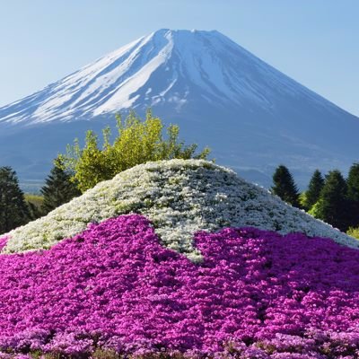 機材はプロ並みですが、腕は三流以下のアマチュアカメラマンです。現在の使用機材:#Nikon #Z9 #Z7 #Z6 #Zfc #D800E #D850 #D800 #Df #D7100 #D3X #PENTAX #645Z #K1 #KP