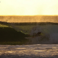 Ben Salkeld (@the_colt) 's Twitter Profile