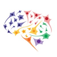 Centre Cog Sys Neuro (@ccsn_unisa) 's Twitter Profile