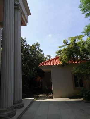 gdzhlkh's profile picture. Free life