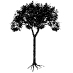 The Tree-Scape experts located in Sheridan and Anderson, Indiana. We specialize in large trees. Best prices, period! Follow us for fun updates!