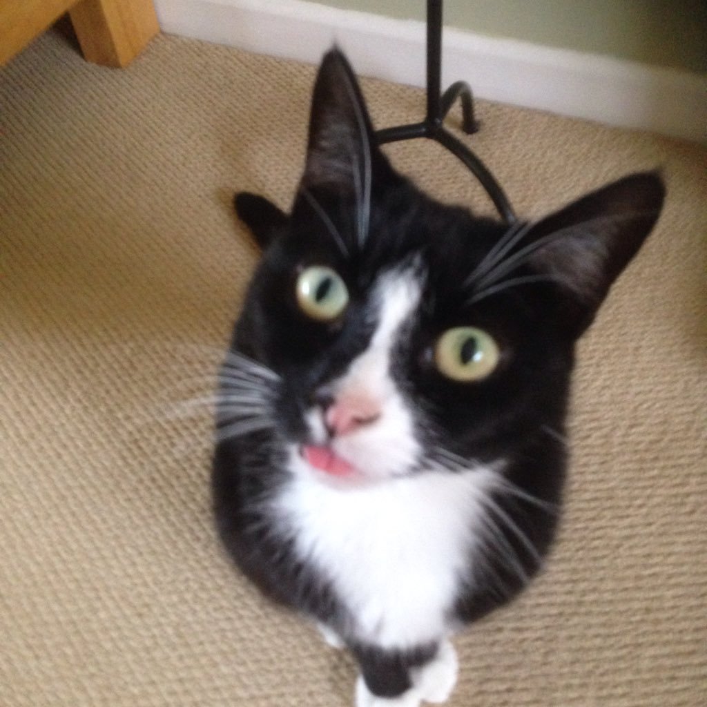 mirror52658's profile picture. 