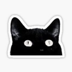 GeeketteBavarde's profile picture. Une jeune fille qui aime discuter et partager ! 🦄