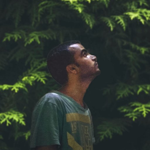 backend developer in python & go , will mock your tweets, blockchain/crypto enthusiast.